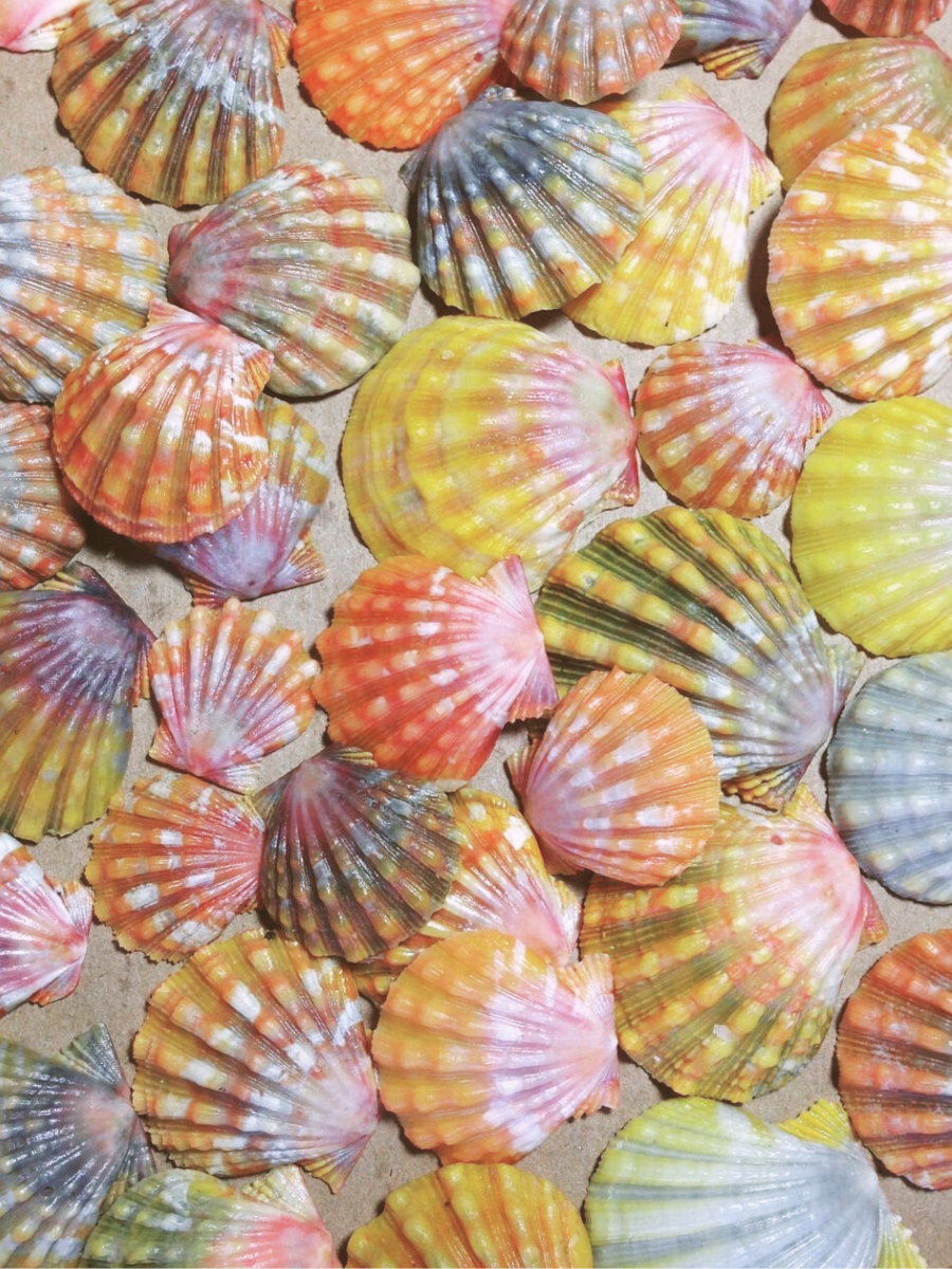 The Heart of Live Makai