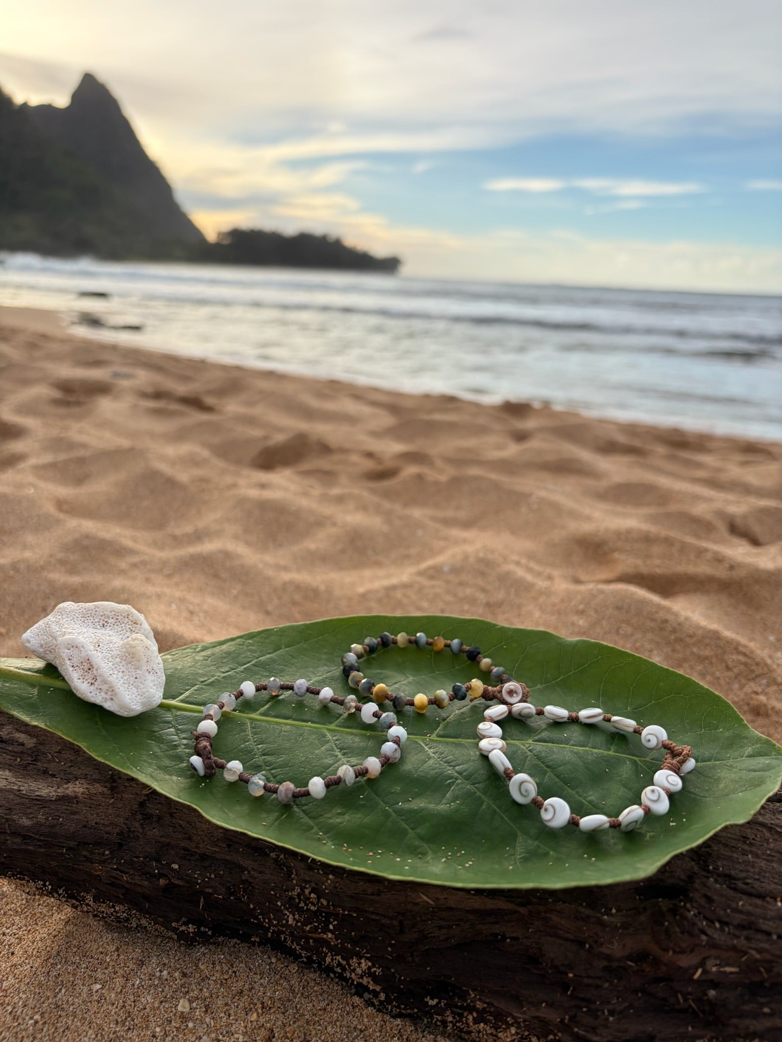 Shiva Eye Shell Woven Wrap Bracelet