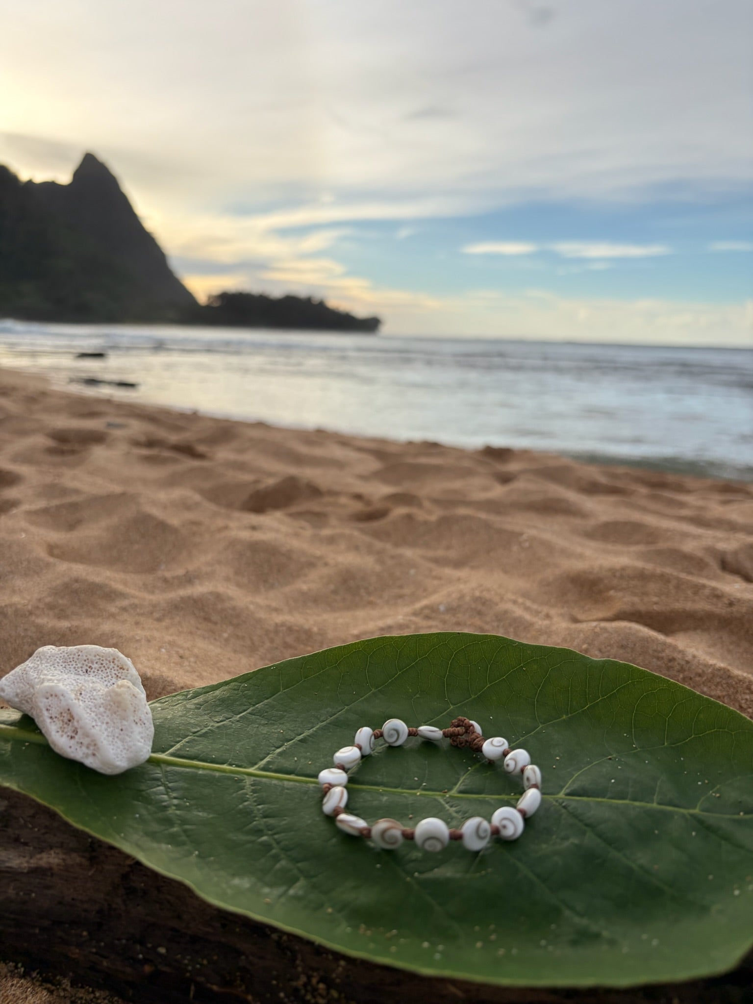 Shiva Eye Shell Woven Wrap Bracelet