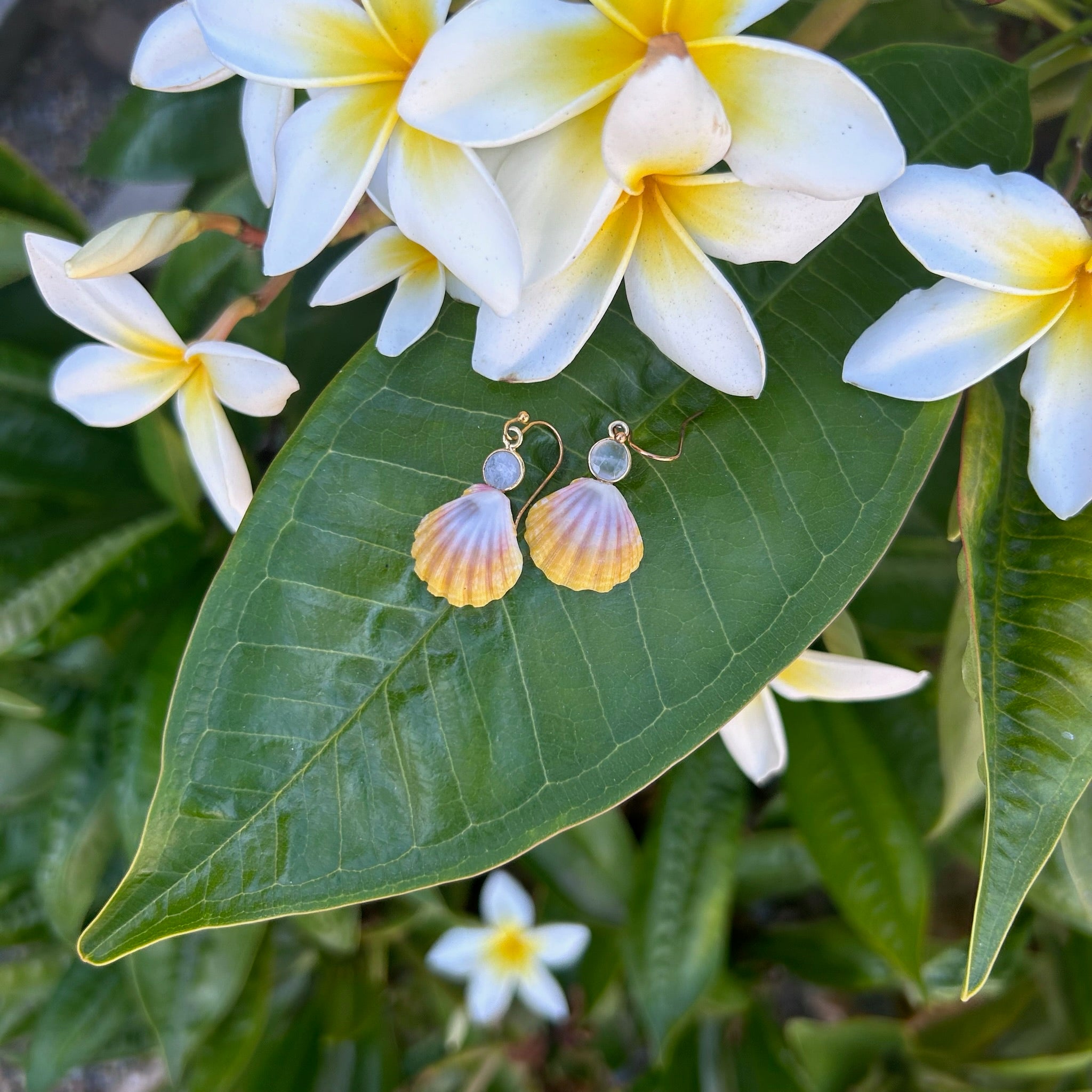 Moonstone Sunrise Earrings