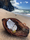 Iolite and Moonrise Shell Necklace
