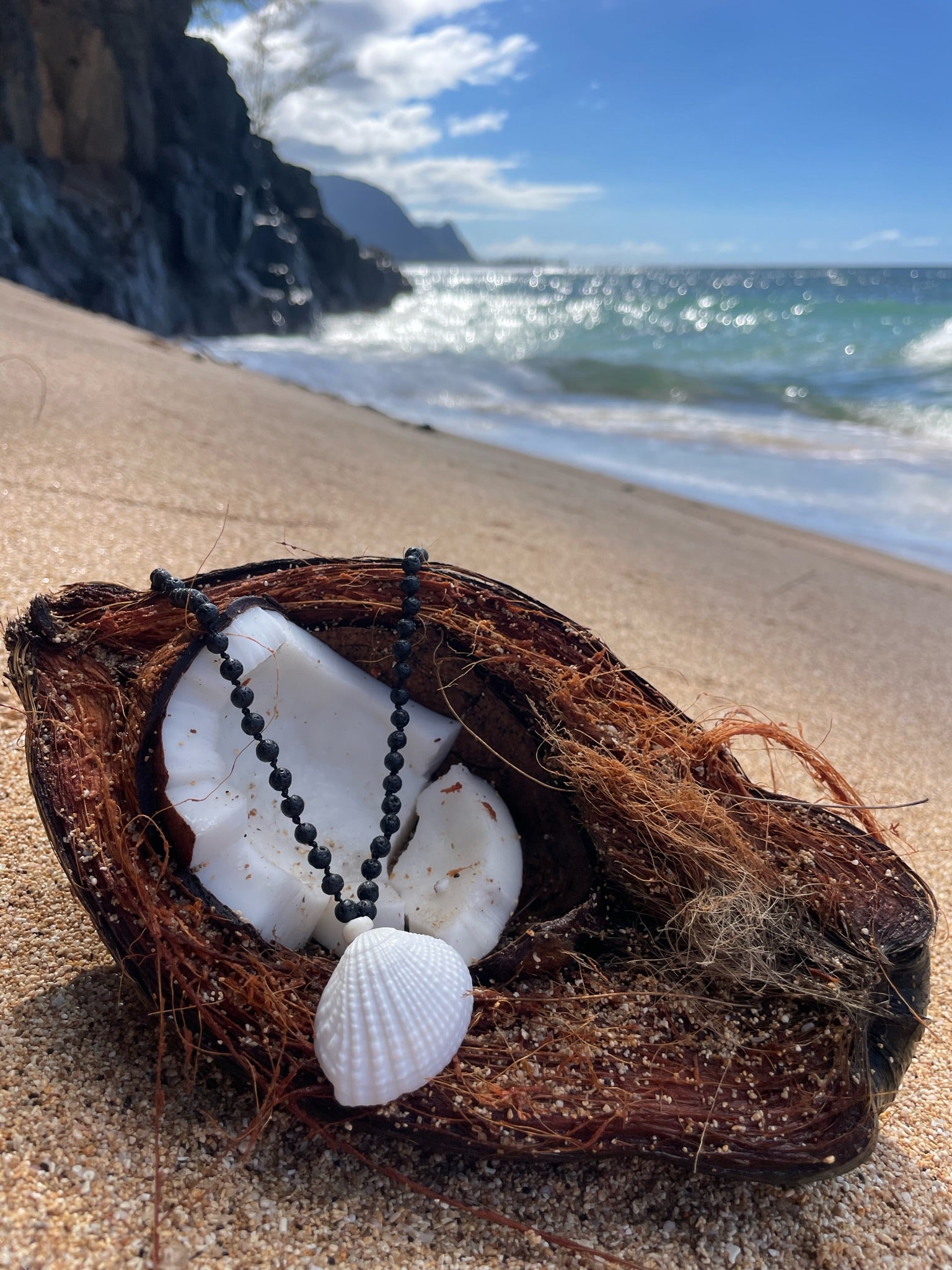 Lava Rock with Seashell